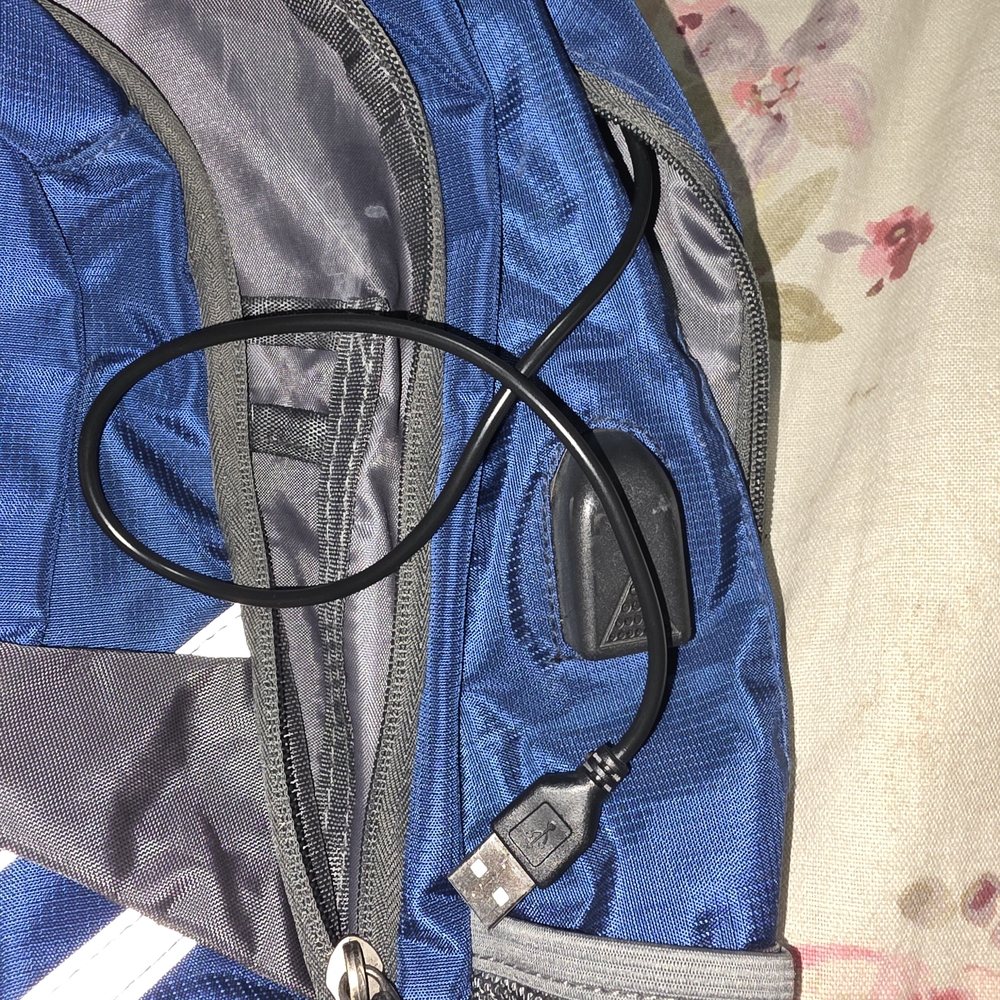 Blue and Gray Backpack - Picture 4 of 5